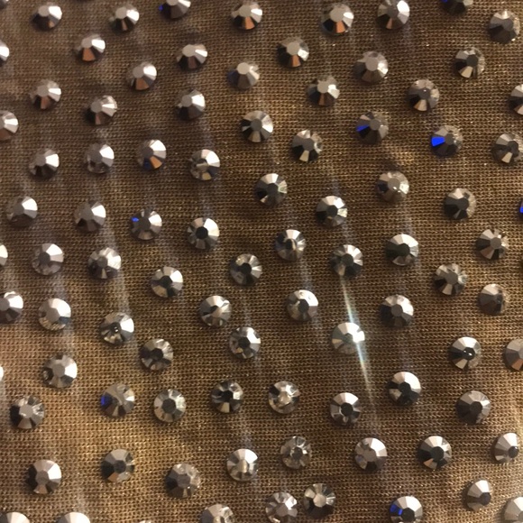 Sheer Stone Dress - Picture 5 of 6